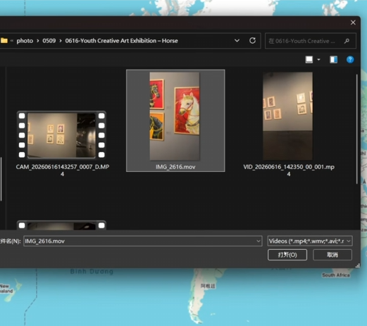 importing the video into MipMap Desktop